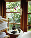 WindowPlant02_S