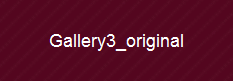 Gallery3_original