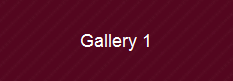 Gallery 1
