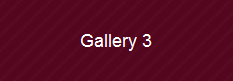 Gallery 3
