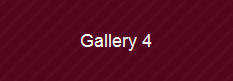 Gallery 4